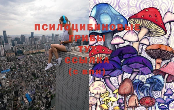 ГАЛЛЮЦИНОГЕННЫЕ ГРИБЫ Аркадак