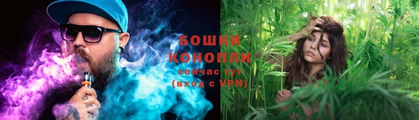 прущие грибы Армянск