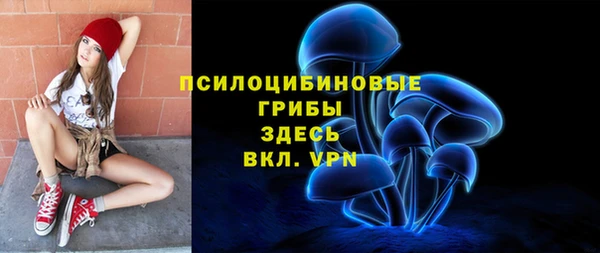 ГАЛЛЮЦИНОГЕННЫЕ ГРИБЫ Аркадак