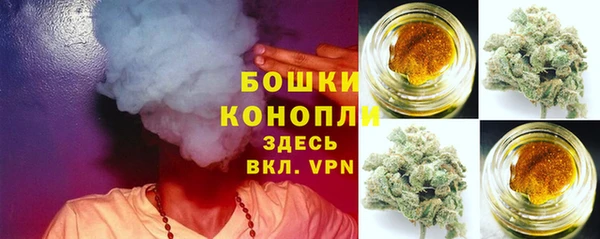 прущие грибы Армянск