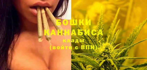 ГАЛЛЮЦИНОГЕННЫЕ ГРИБЫ Аркадак
