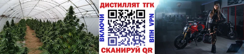 дарк нет телеграм  Певек  Дистиллят ТГК концентрат 