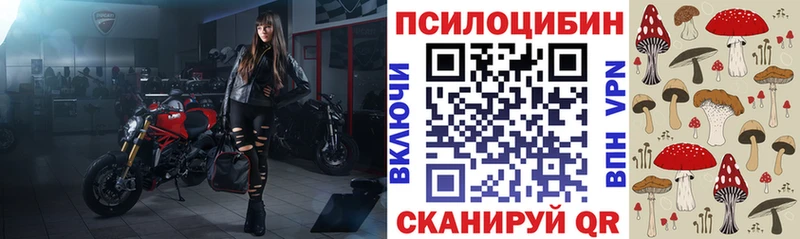 Псилоцибиновые грибы мицелий  Певек 